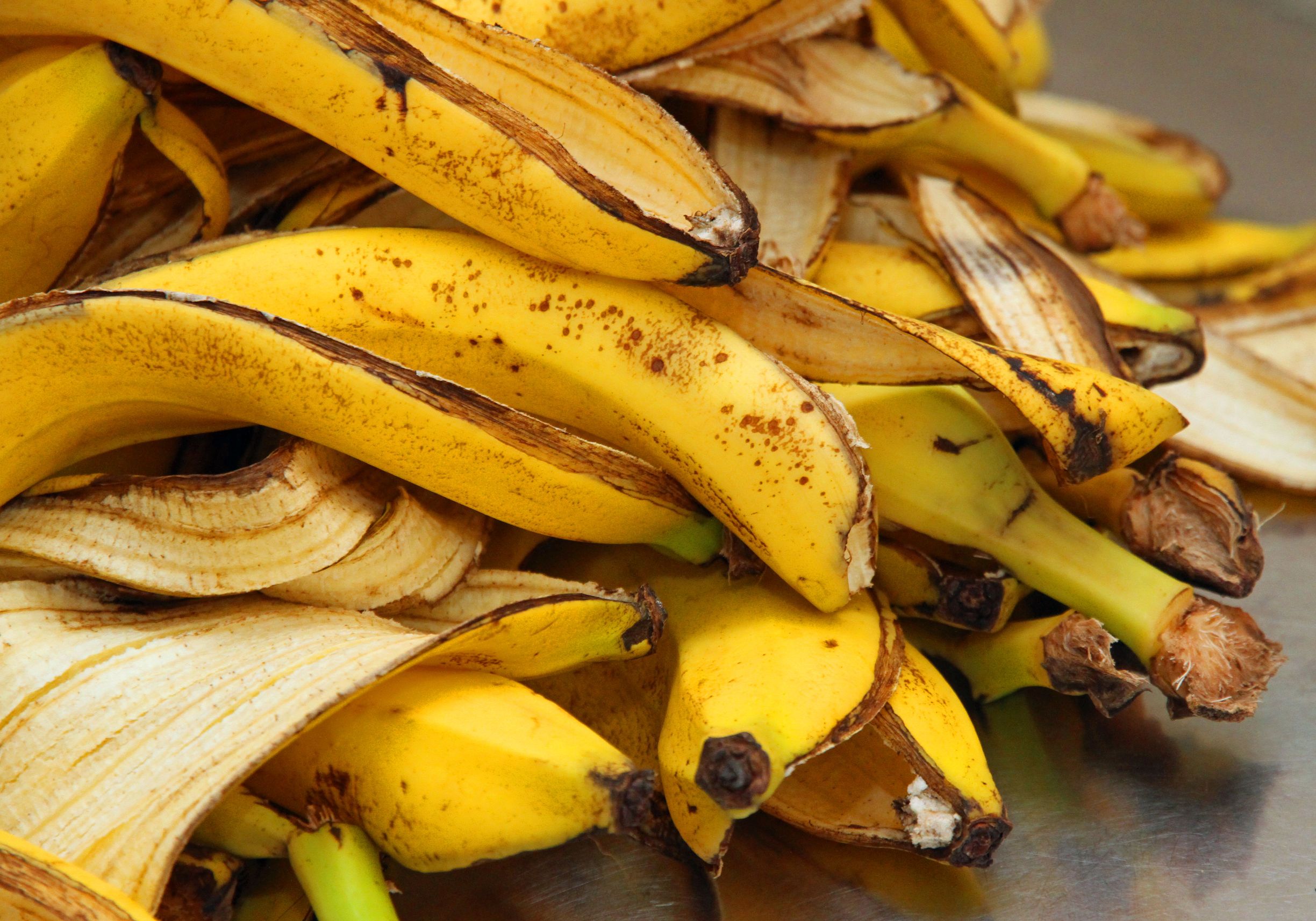 Image result for coaja banana muscata