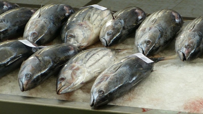 tratament comun cu pește proaspăt)