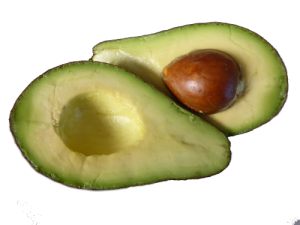 avocado-885272_1280