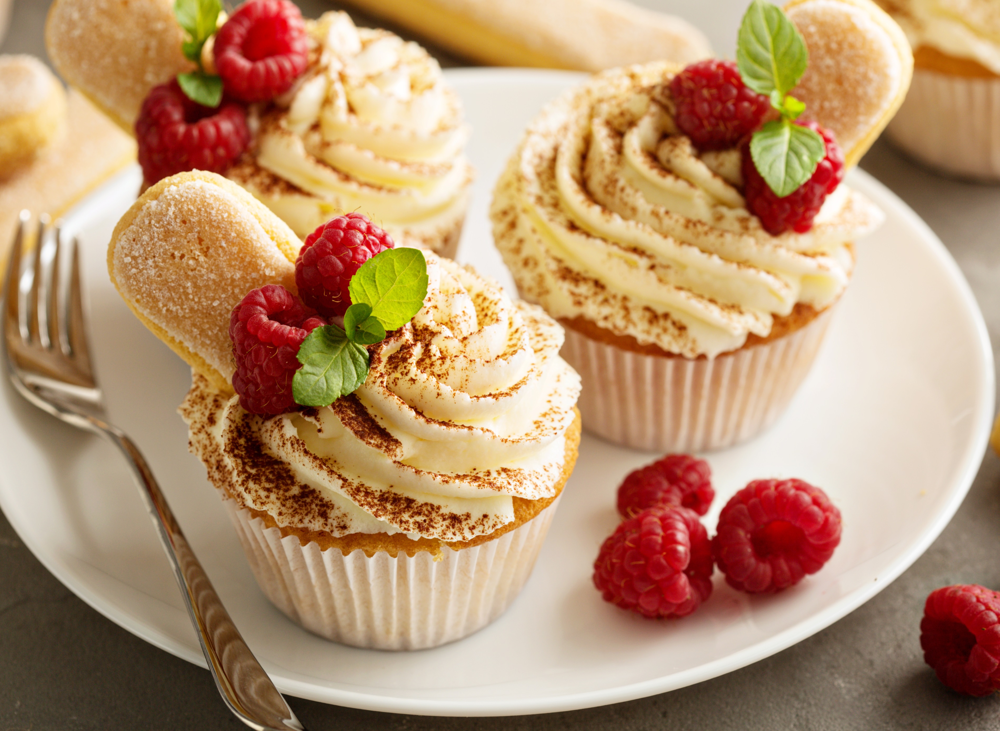 cupcakes-tiramisu